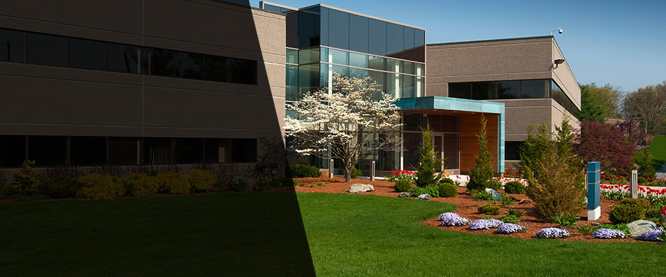 Avella Landscapers