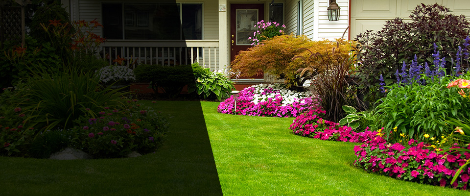Avella Landscapers