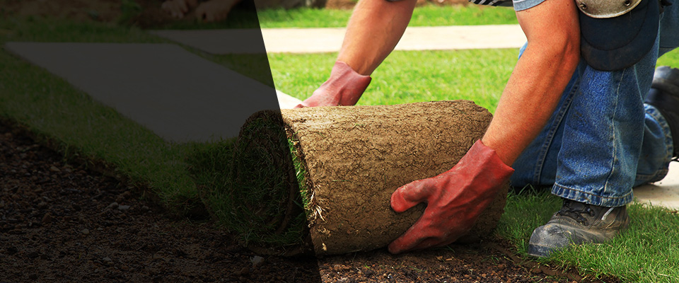Avella Landscapers
